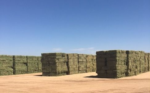 Hay For Sale Tucson Az